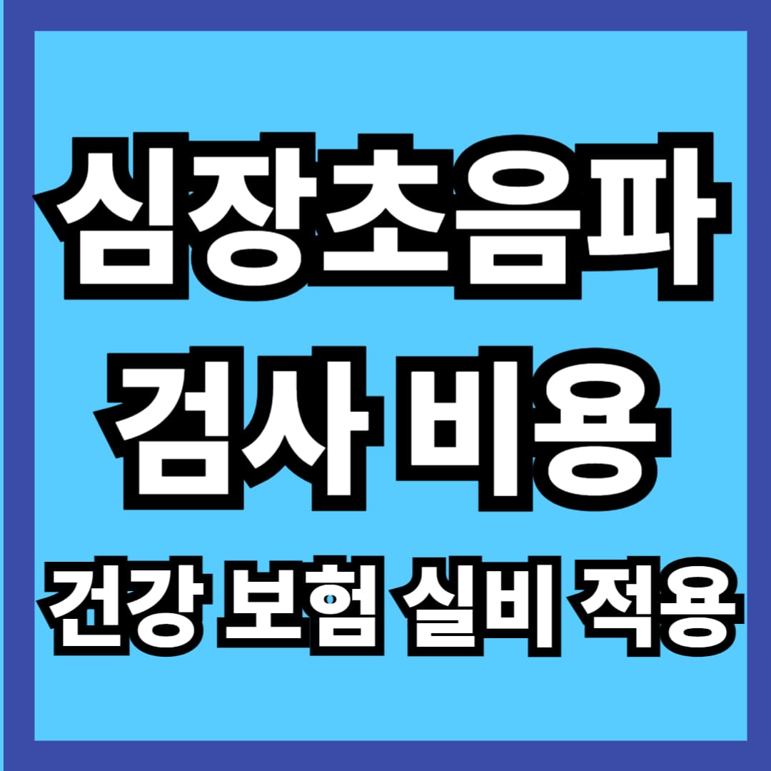 심장 초음파로 알수있는병, 심장초음파 검사비용, 심장 초음파, 심장초음파 검사방법, 심장 초음파 검사, 심장 초음파 검사 건강보험 적용, 심장초음파 급여, 심장 초음파 가격, 심장초음파 금식, 심장 초음파 ef, 심장초음파 검사주기, 심장초음파 실비