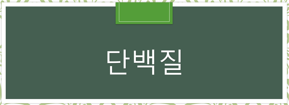  단백질이 풍부한 음식