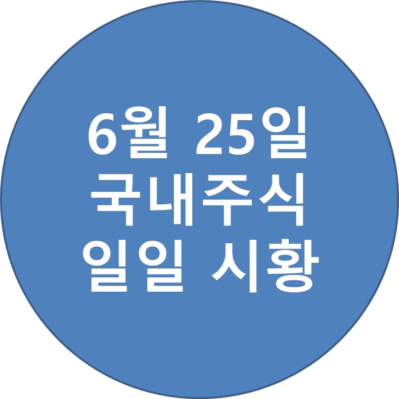  6월 25일 국내주식 일일시황