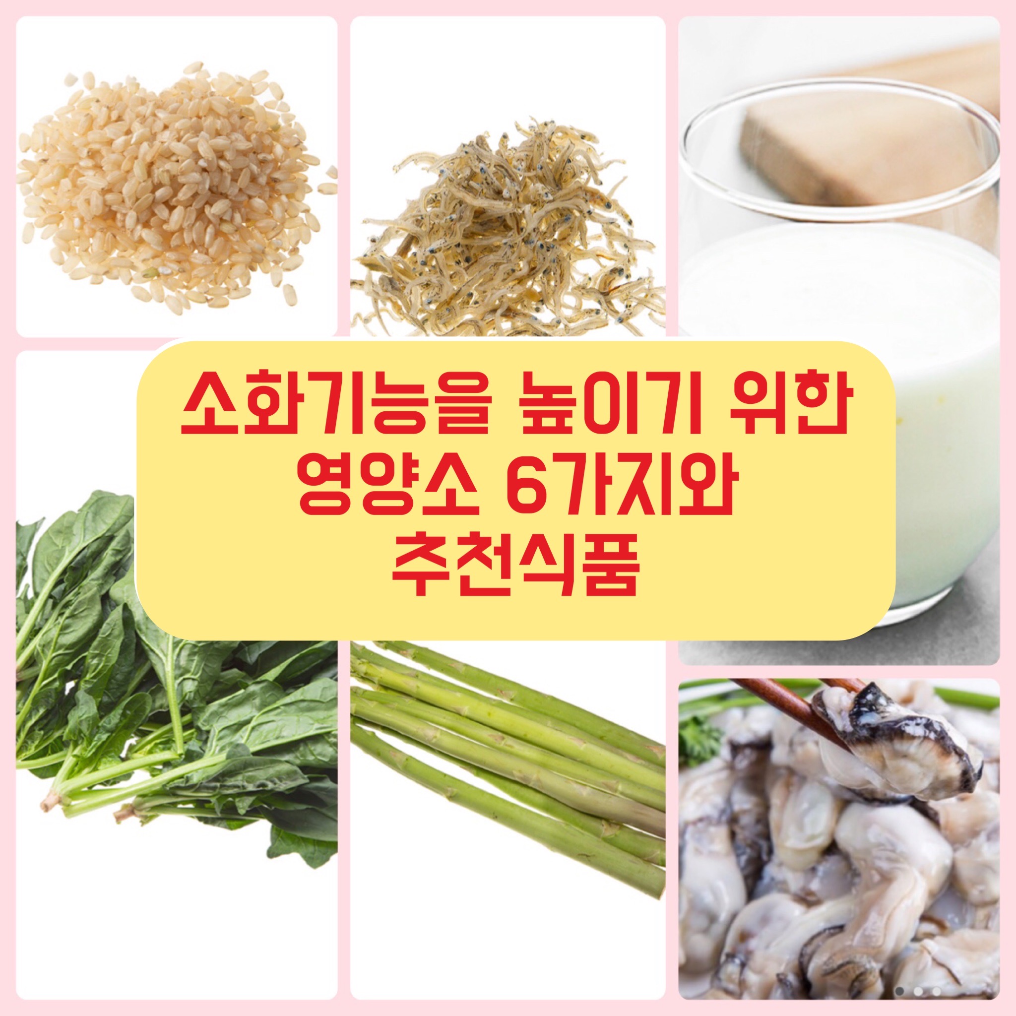  소화기능을 높이기 위한 영양소 6가지와 추천식품