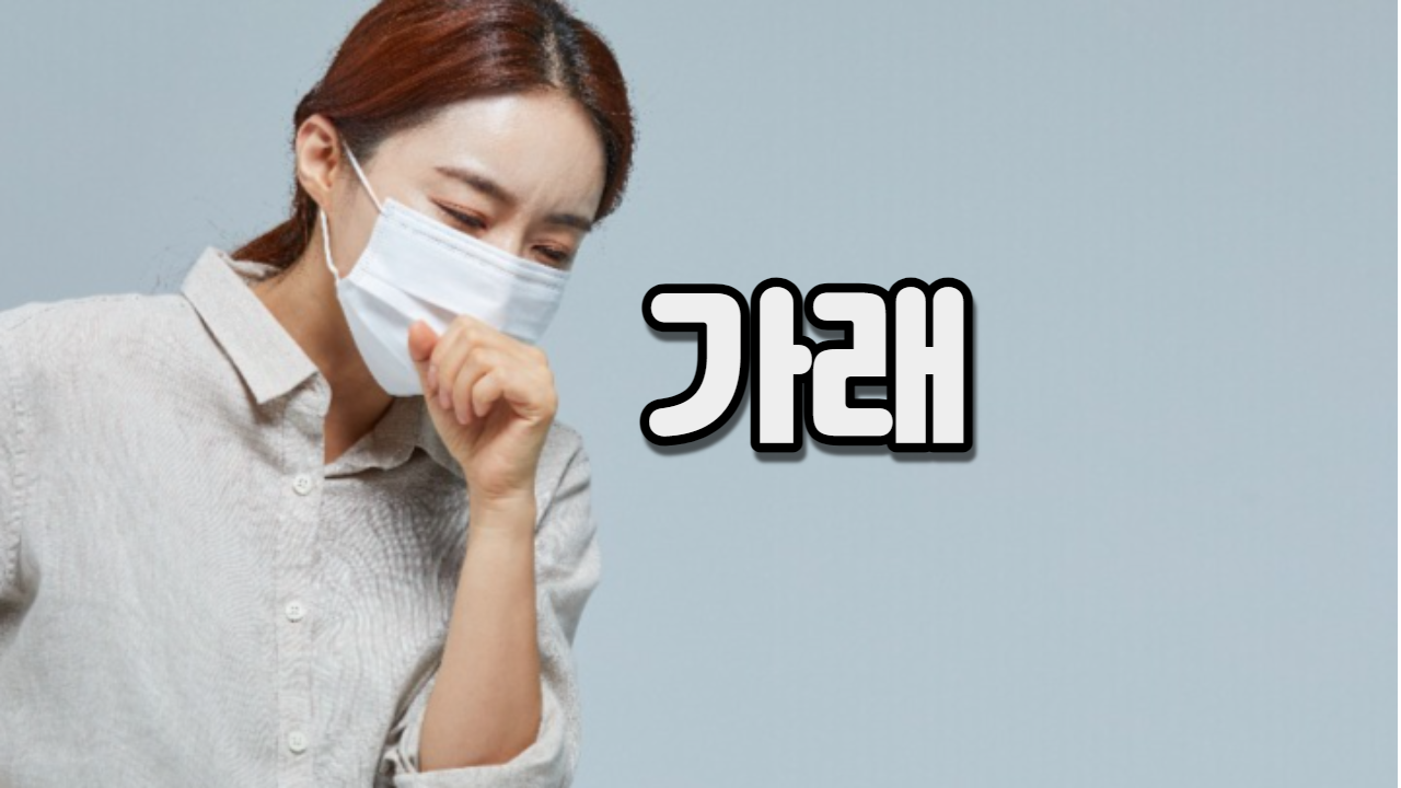  가래(담)