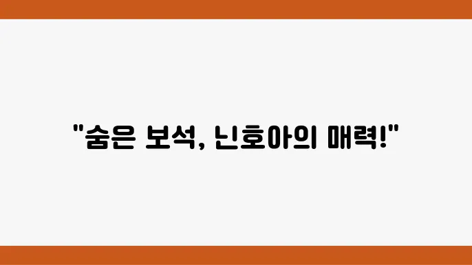 닌호아의 문화유산