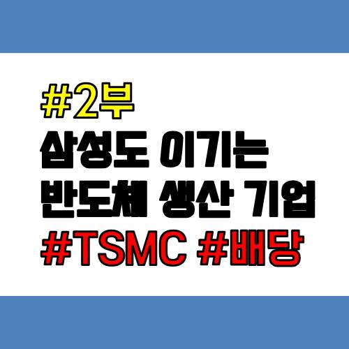  대만 반도체 생산 기업 TSMC의 배당에 대해 알아야 할 것들...