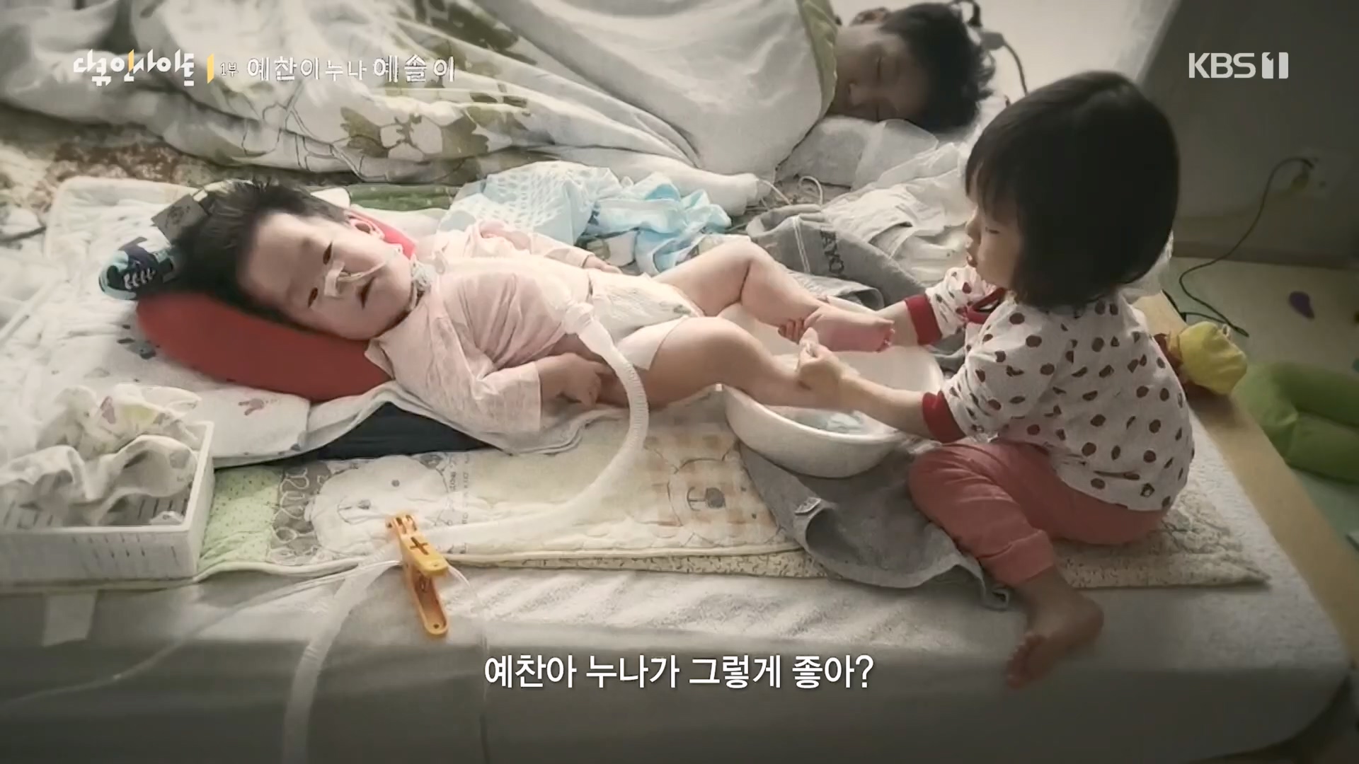 다큐 인사이트.E174.240222p.H264-F1RST.mp4_20240223_195914.421.jpg