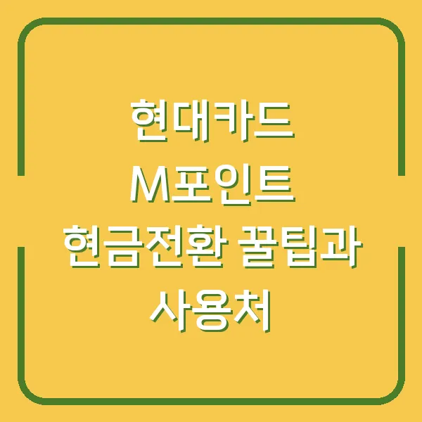 현대카드 M포인트 현금전환 꿀팁과 사용처