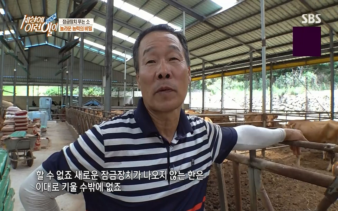 순간포착 세상에 이런일이.E1190.220727p-NICE.mp4_20220727_202106.954.jpg