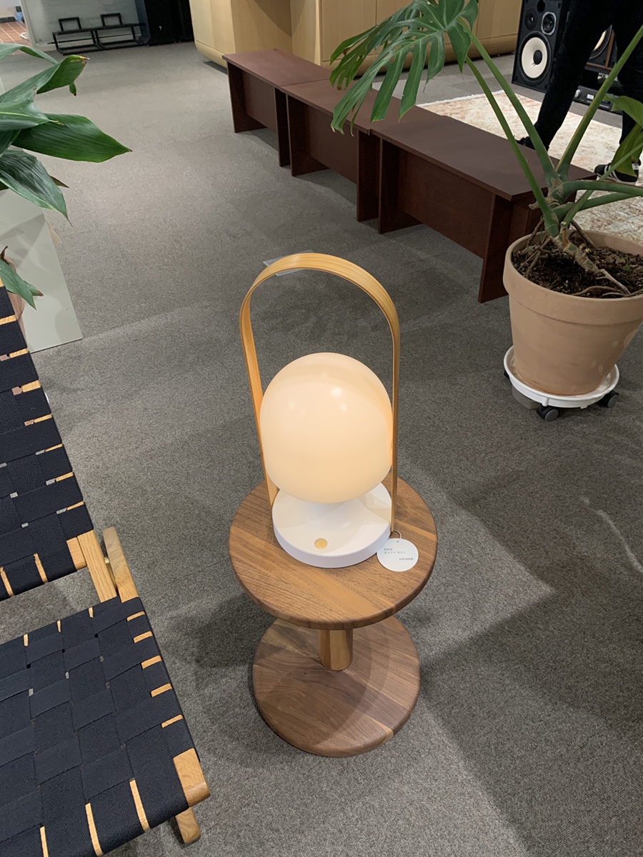 잭슨카멜레온, 플랜트란스 5