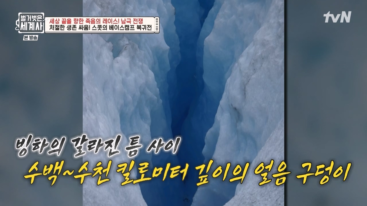 벌거벗은 세계사.E105.230628p-NEXT.mp4_20240127_160144.306.jpg