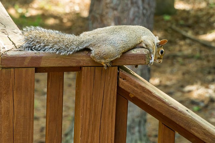 삶이 지루하고 지루할 때 3