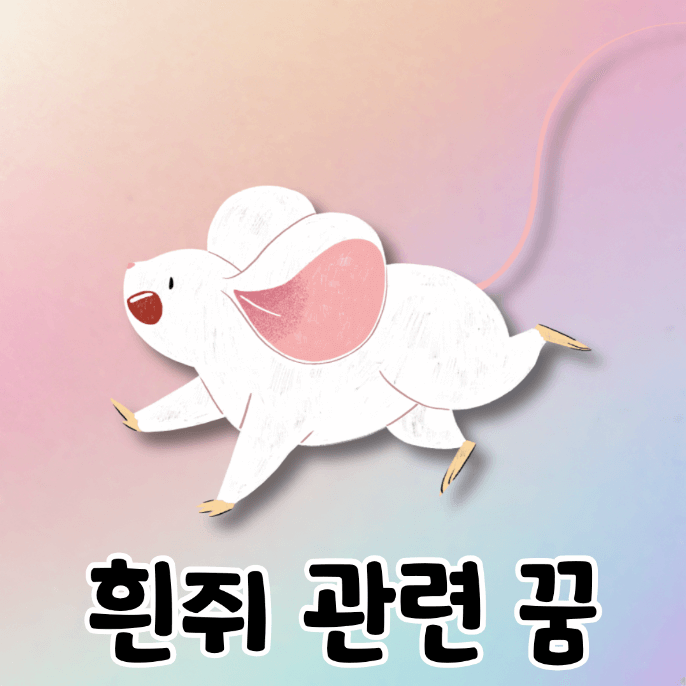 흰쥐