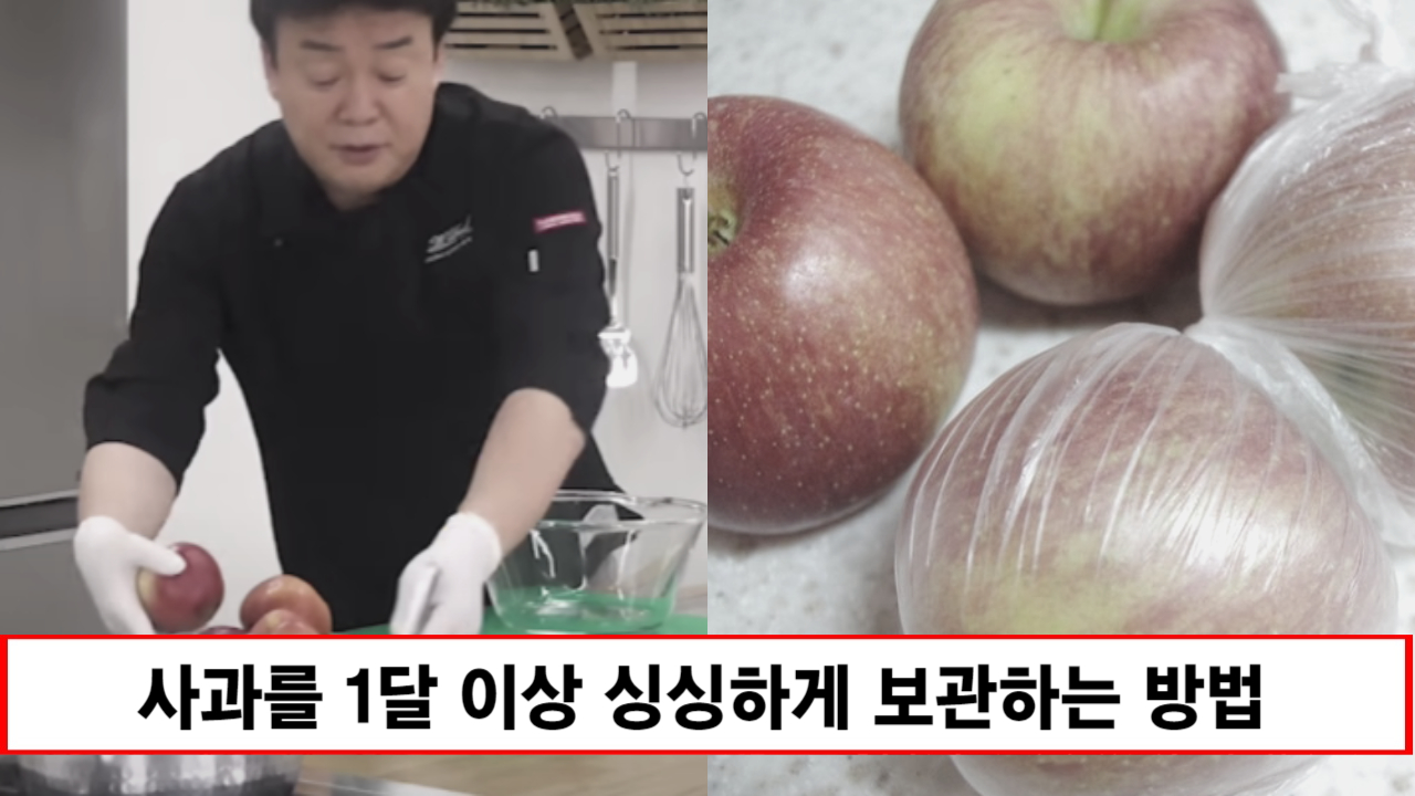 “사과 이렇게 보관 안하면 하루만에 썩습니다” 제철 사과 한달 넘게 싱싱한 상태로 보관할 수 있는 방법
