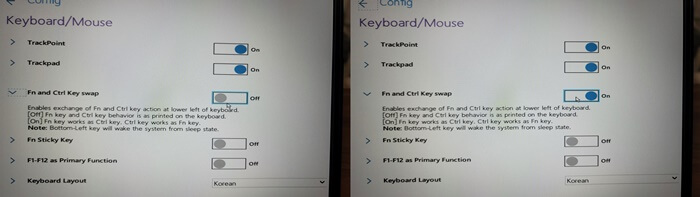 Keyboard/Mouse의 상세 화면 사진으로 Fn and Ctrl Key swap의 OFF를 ON하는 사진입니다.