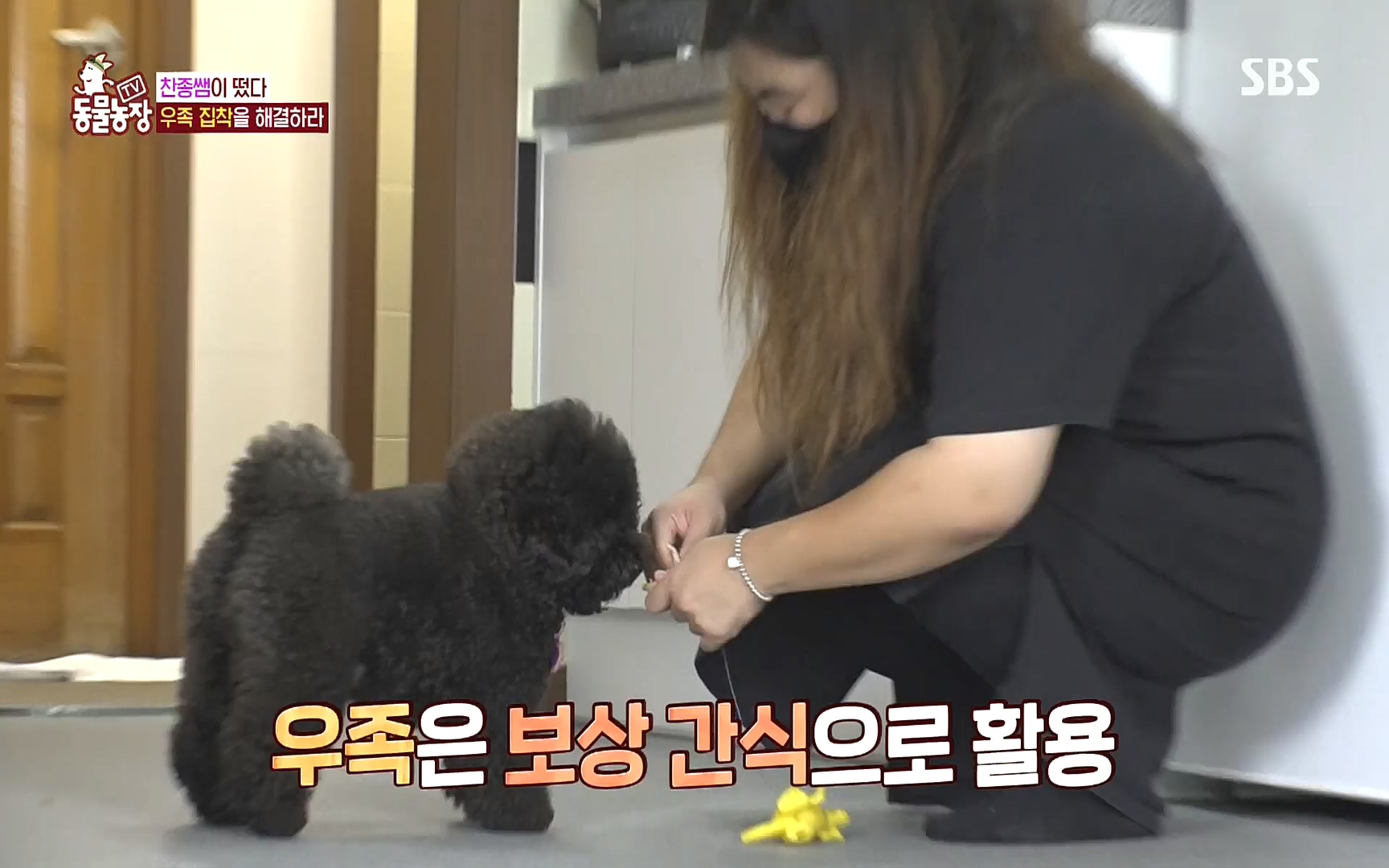 TV 동물농장.E1088.220925p.H264-F1RST.mp4_20220925_174355.663.jpg