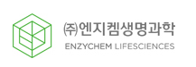  [거래소 공시] 주가 주식 엔지켐생명과학 (183490) 불성실공시법인지정(공시불이행)
