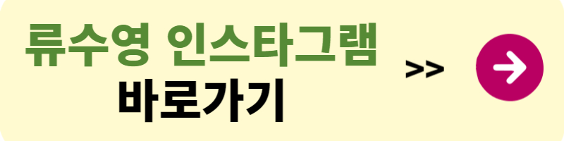 류수영 프로필