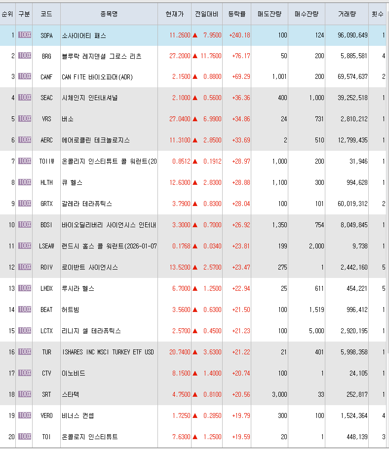  12월20일 미국주식 상승률 상위 종목 TOP 300