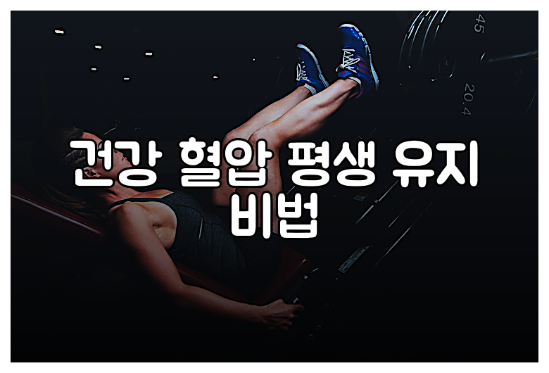 건강 혈압 평생 유지 비법