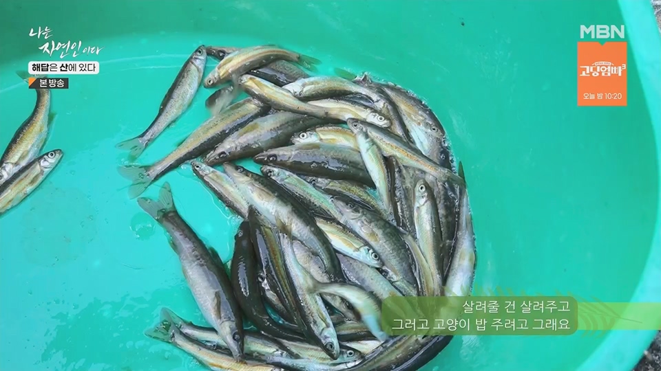 나는 자연인이다.E559.230621p.H264-F1RST.mp4_20230622_204027.230.jpg