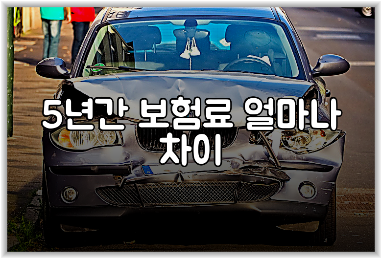 5년간 보험료 얼마나 차이