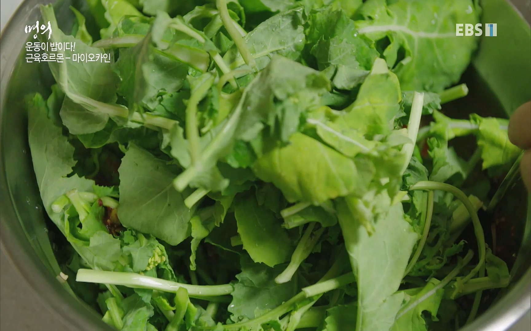 EBS 명의 헬스케어 - TV - 교육의 중심 EBS내 몸을 지배하는 7가지 호르몬 3부, 운동이 밥이다! .mp4_20220711_202509.166.jpg