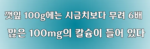 깻잎 100g에는 시금치보다 무려 6배 많은 100mg의 칼슘이 들어 있다