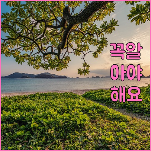 인공수정체 수술 전 필수 확인 사항 