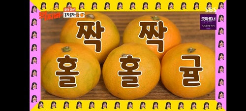 낙지부대 이미지