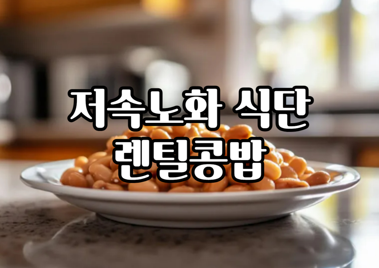 렌틸콩밥 효능 밥 짓는법 저속노화를 위한 식단