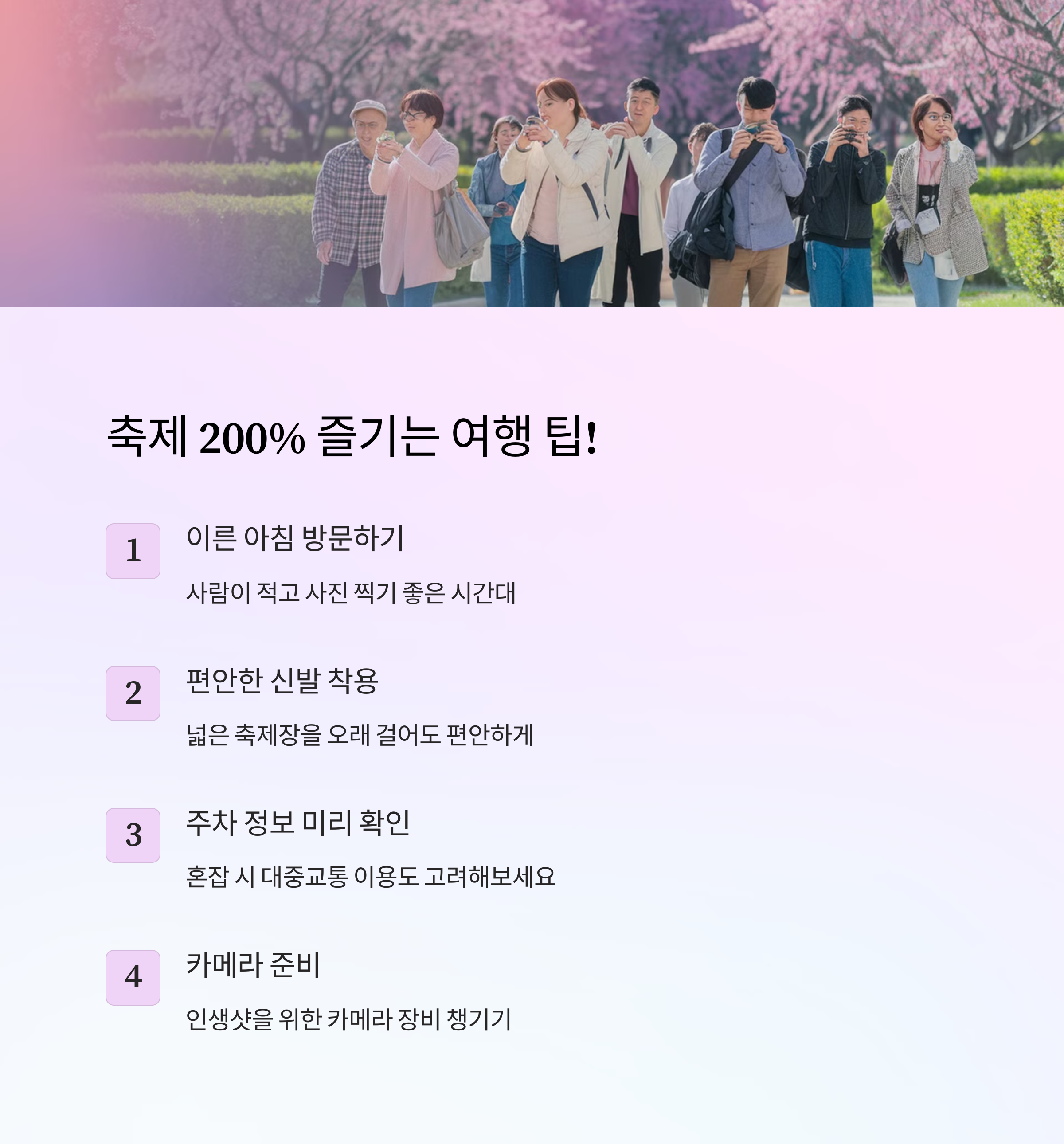 매화꽃 축제 200% 즐기는 여행 팁