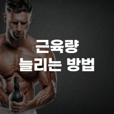 근육량 늘리는 방법&#44; 근성장&#44; 근육량늘리는 방법