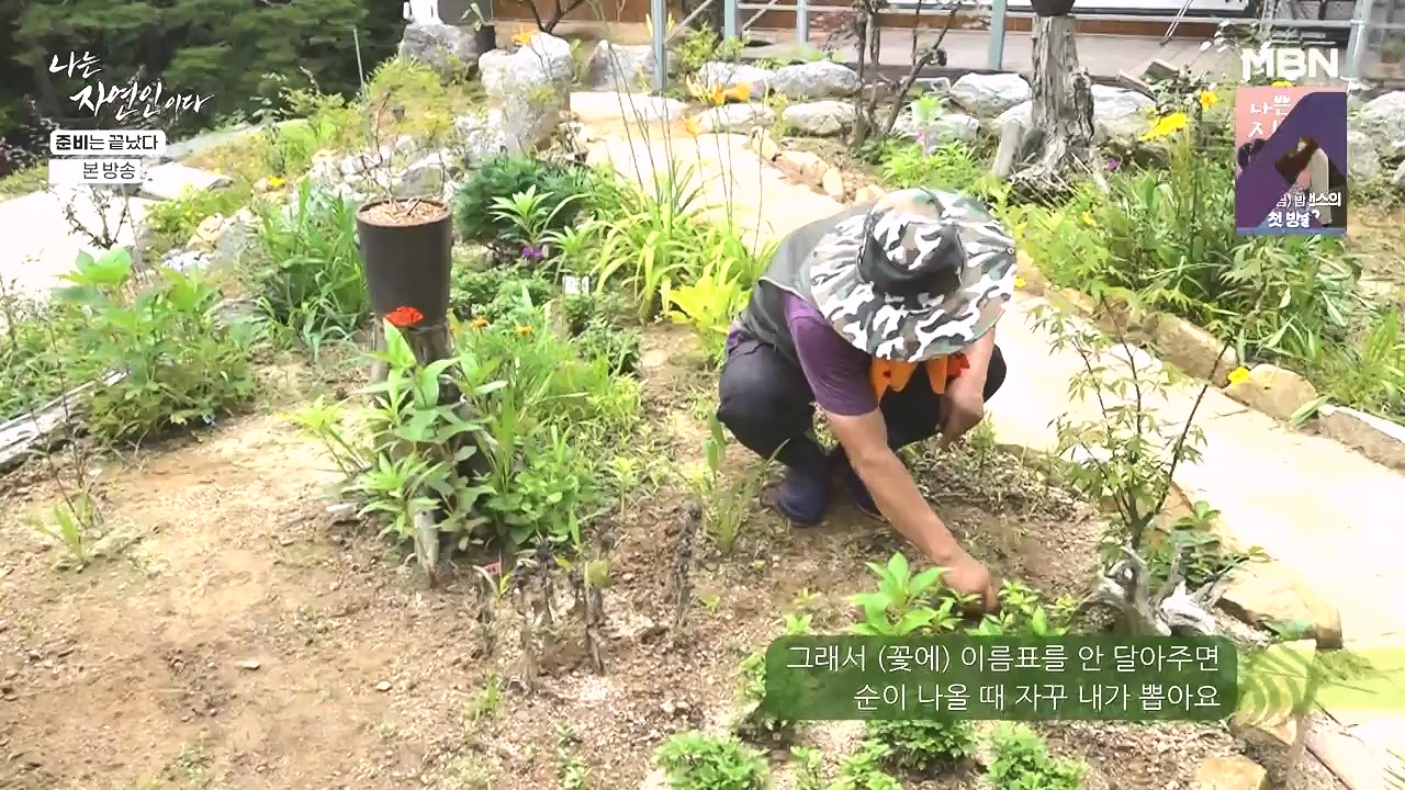 나는 자연인이다.E616.240732p-NEXT.mp4_20240801_195133.458.jpg