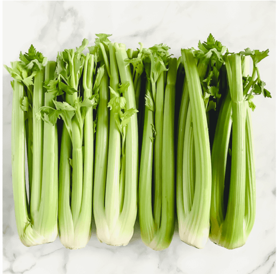  셀러리 (CELERY) 효능 부작용 섭취법은?