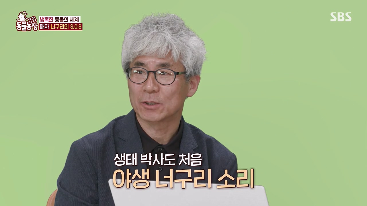 TV 동물농장.E1172.240520p-NEXT.mp4_20240519_163636.666.jpg