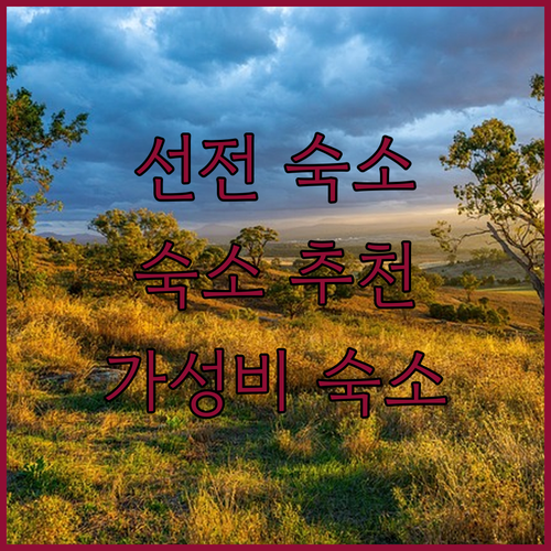 선전 숙소 고민 끝 랑화 미디어 칭주