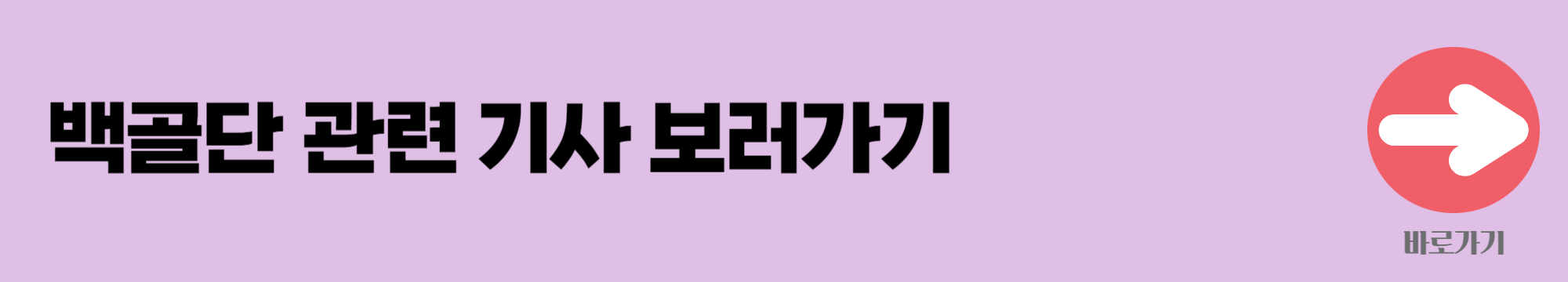 백골단 배너