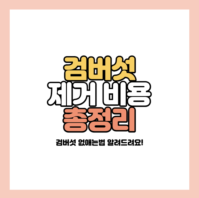 검버섯-제거비용