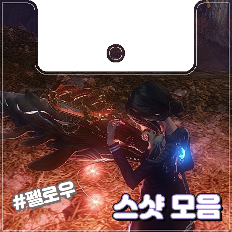  [이카루스] 펠로우 스샷 정리