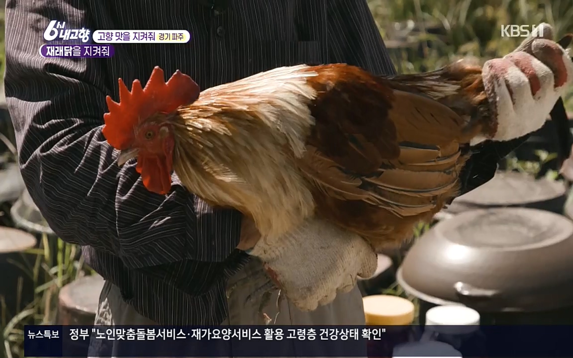 6시 내고향.E7618.220916p.H264-F1RST.mp4_20220920_204753.382.jpg