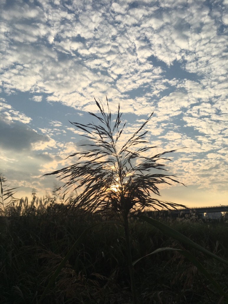  청주 오송호수공원 차박 노지 캠핑(2021. 10. 9.)