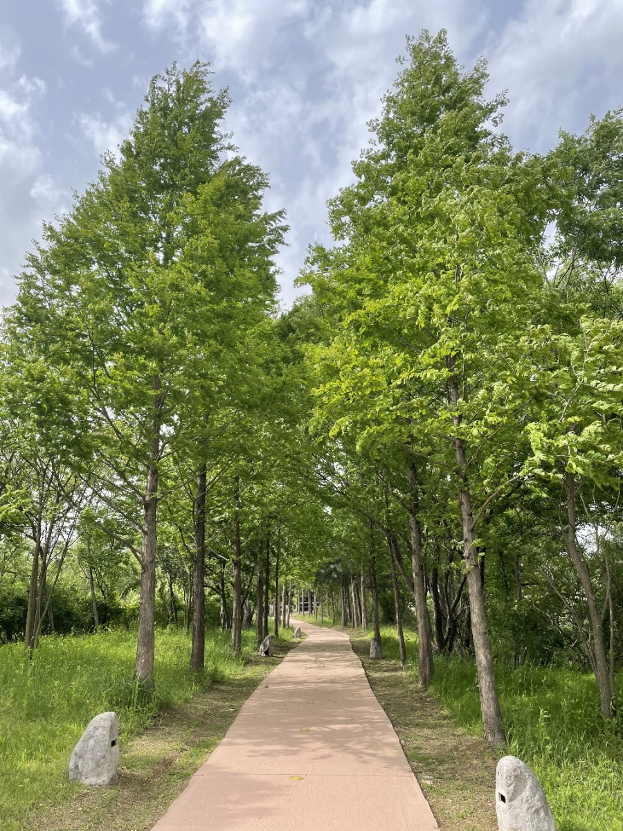 경안천 습지생태공원 여행 경기도 광주에 가볼 만한 곳 14