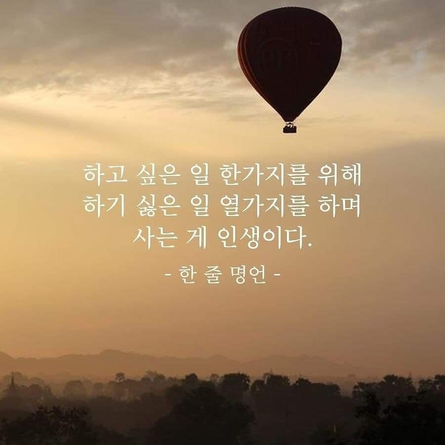 세이프티퍼펙션주 이미지
