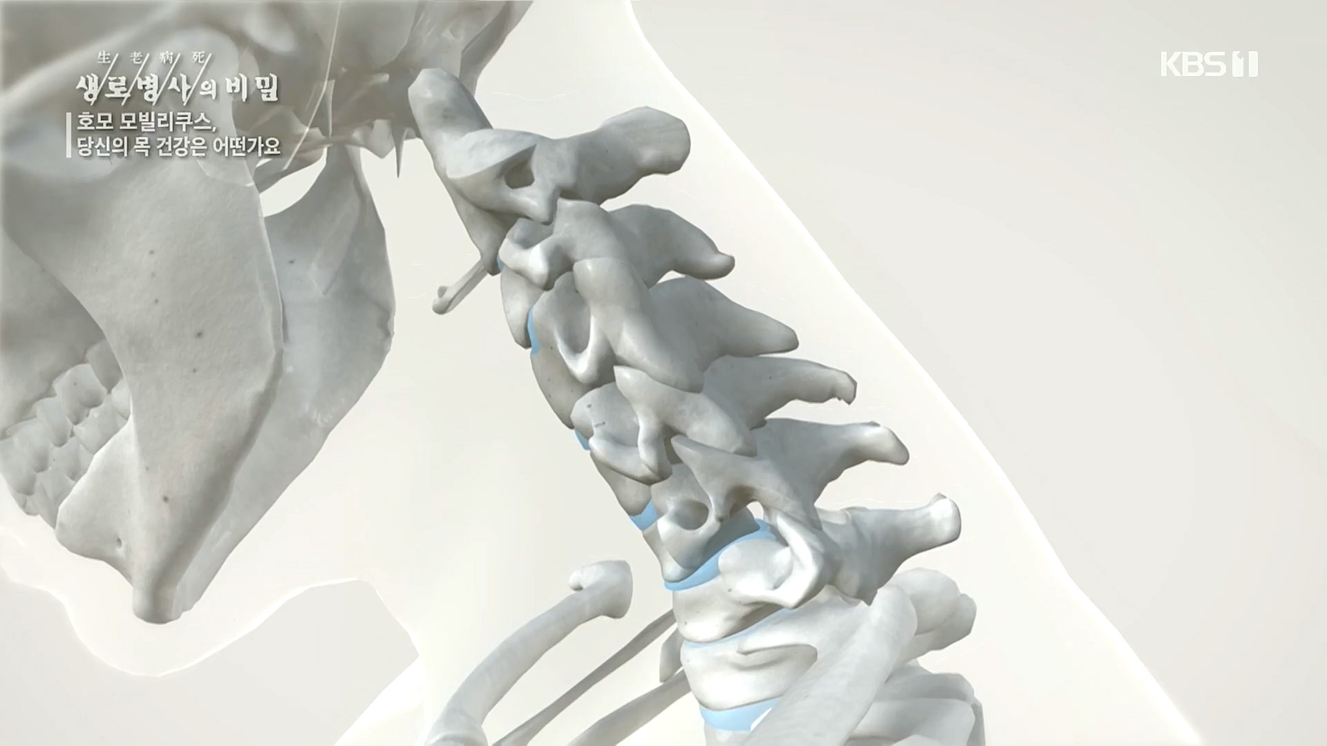 생로병사의 비밀.E841.221026p.H264-F1RST.mp4_20221027_200822.014.jpg