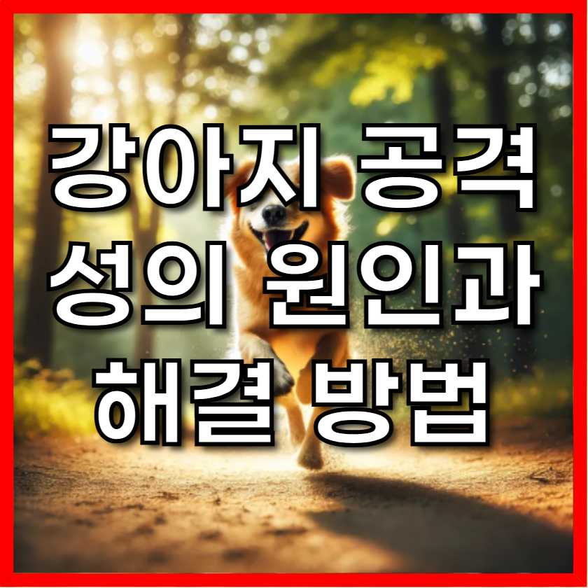강아지의 공격성