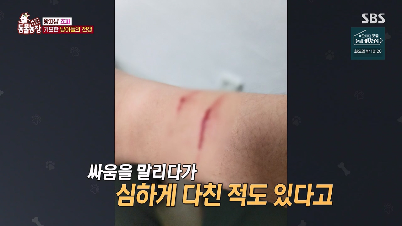TV 동물농장.E1137.230911p-NEXT.mp4_20230910_183215.507.jpg
