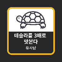  테슬라를 3배로 맛본다