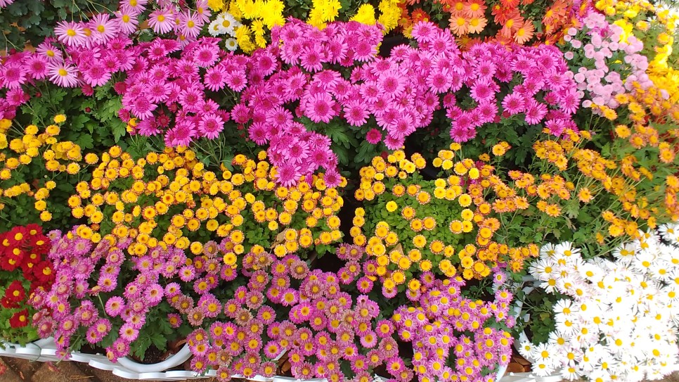 3 – 남편과 아내의 호칭에 관한 단상 4