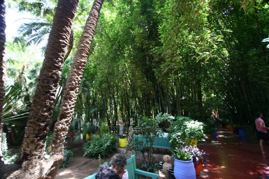 마조렐정원-대나무숲
