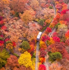 화담숲 예약: 한국의 고요한 수목원을 방문하는 방법&amp;#44; 입장료&amp;#44; 그리고 계절별 팁