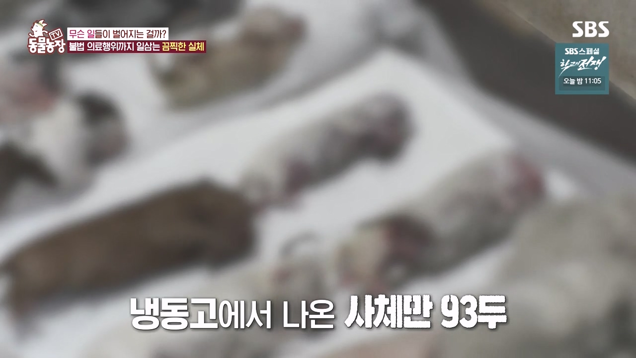 TV 동물농장.E1142.231023p-NEXT.mp4_20231022_172615.084.jpg