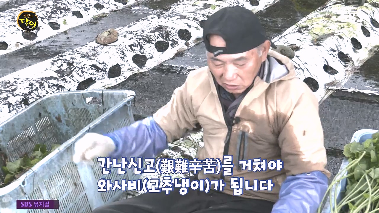 생활의 달인.E908.231017p-NEXT.mp4_20231017_200020.741.jpg